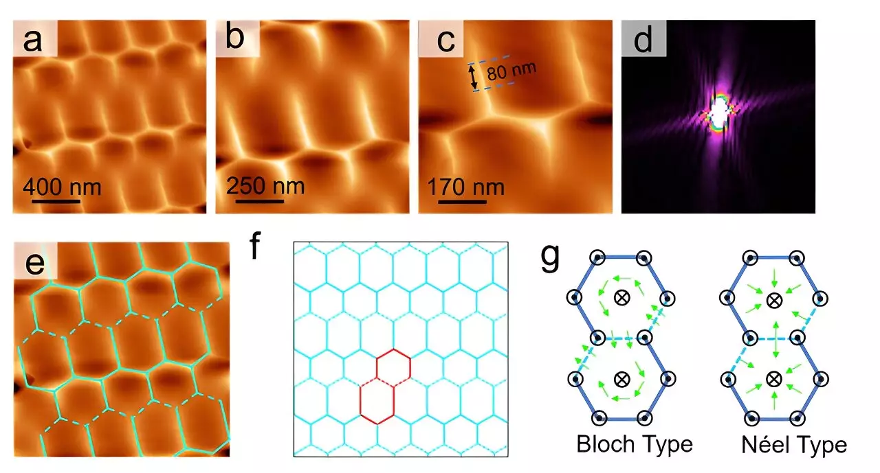 Novel Insights into Kagome Lattices: Unraveling Magnetic Structures