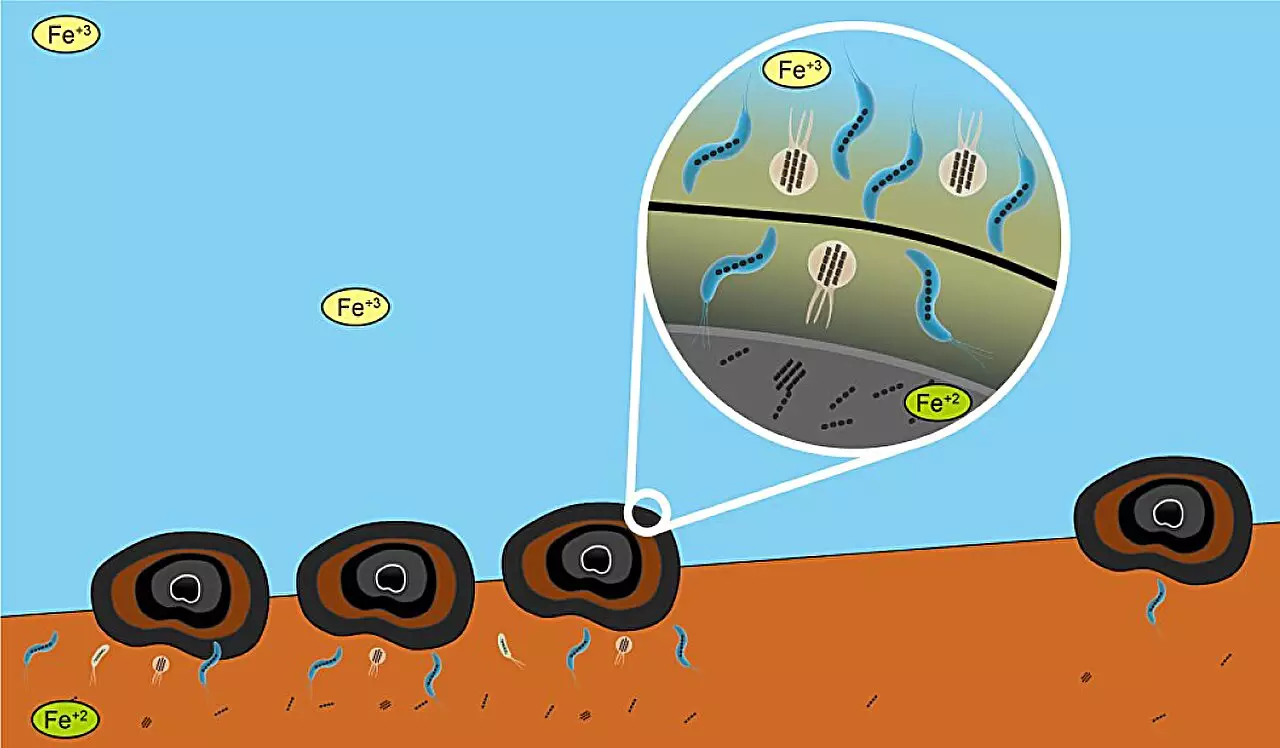 Unraveling the Mysteries of Polymetallic Nodules: Nature’s Treasure Troves at Sea