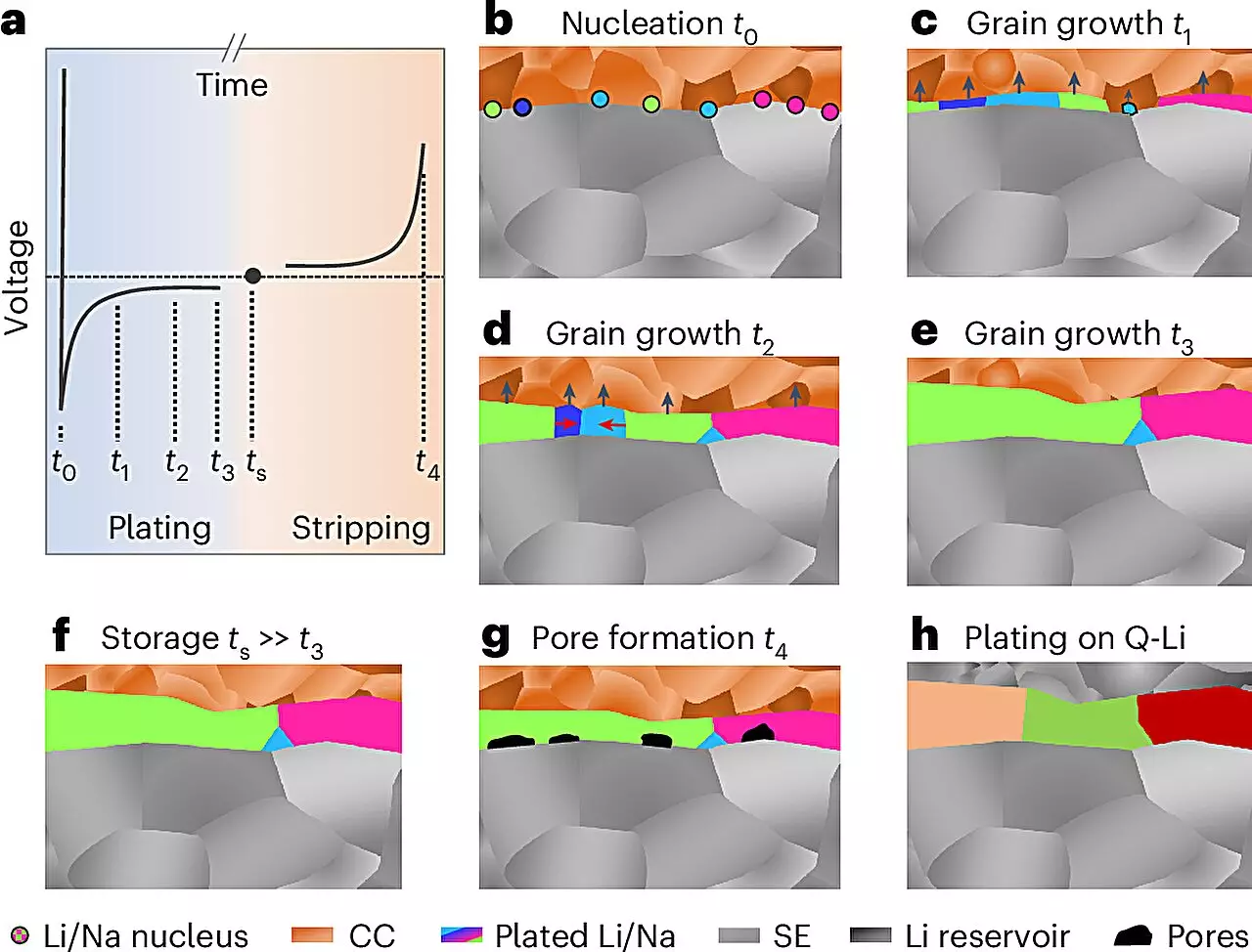 Understanding the Microstructure of Lithium and Sodium Anodes: A New Frontier in Solid-State Battery Research