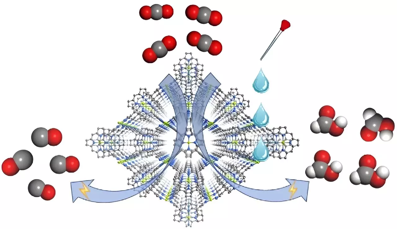 Optimizing CO2 Reduction: The Role of Electrolyte Composition in Catalytic Processes