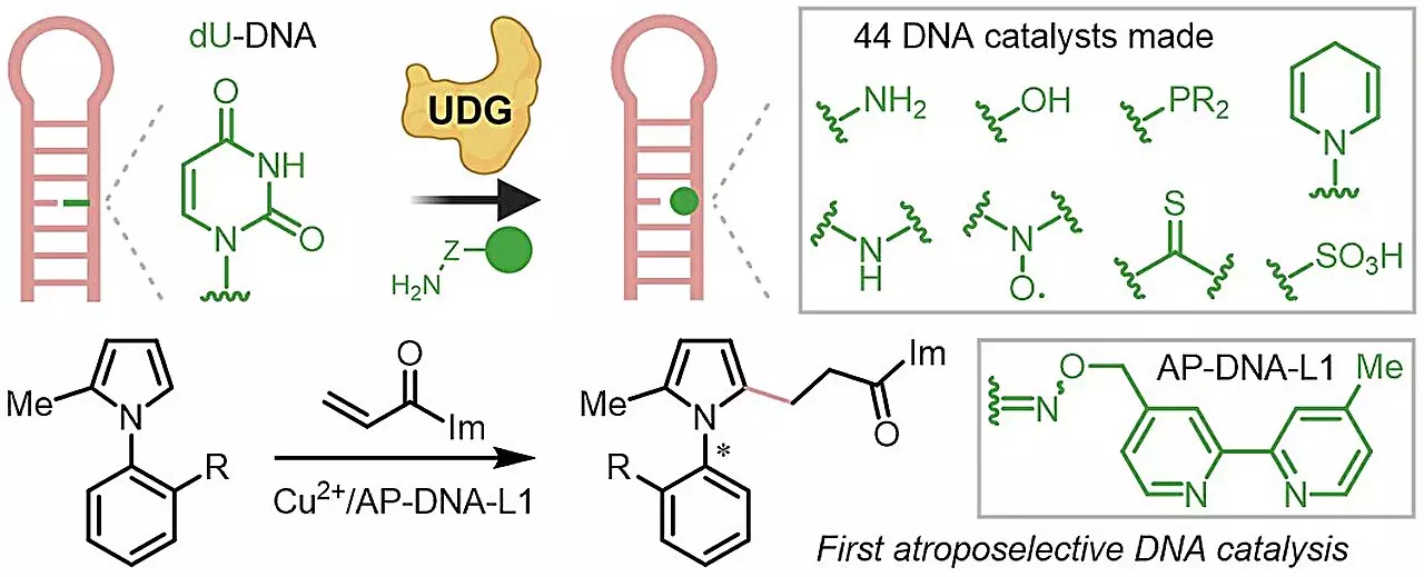 Advancements in Chiral DNA Catalysis: A Breakthrough at NUS