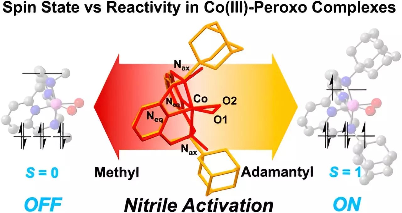 Unraveling the Chemistry: Cobalt(III) Complexes and Nitrile Interactions Pioneering Drug Development