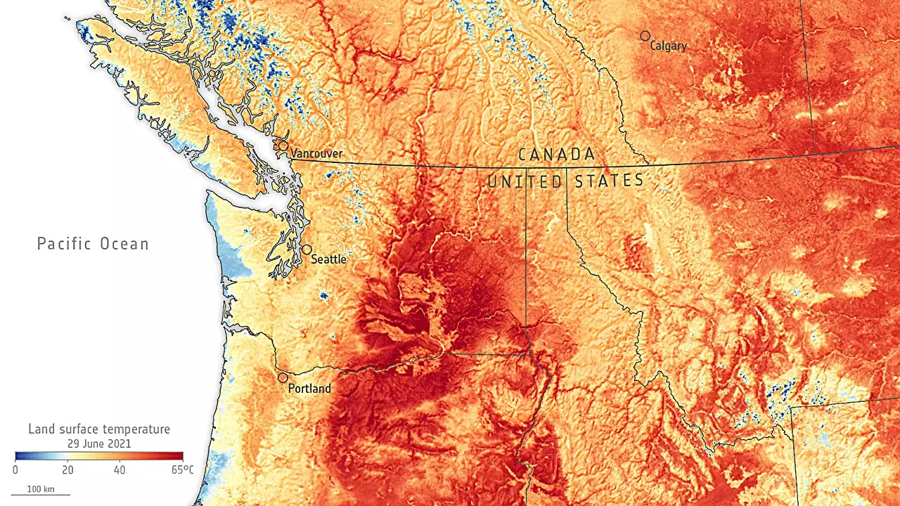 Transforming Weather Forecasting: The Promise of Deep Learning Models