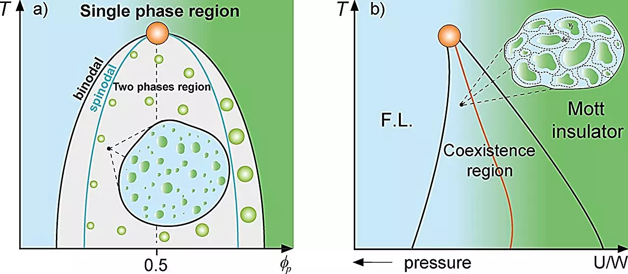 Understanding Cellular Dynamics Through a Griffiths-Like Phase Model