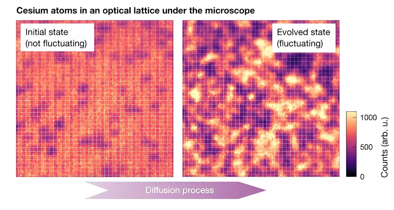 Unveiling Quantum Dynamics: The Significance of Fluctuating Hydrodynamics in Large Quantum Systems