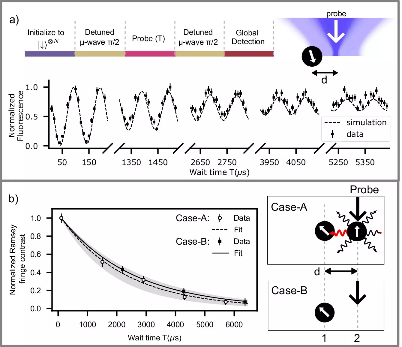 Advancements in Quantum Information: Safeguarding Qubits in Trapped Ion Systems