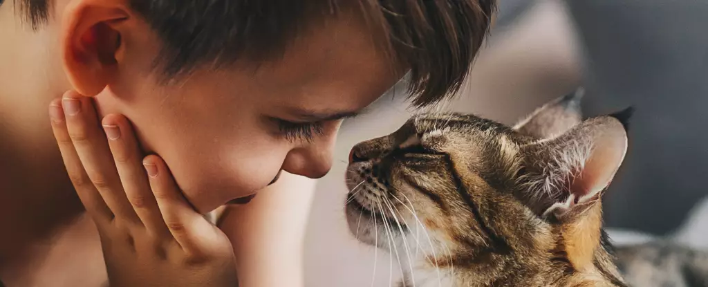 The Multifaceted Relationship Between Cats and Human Health: A Balanced Perspective