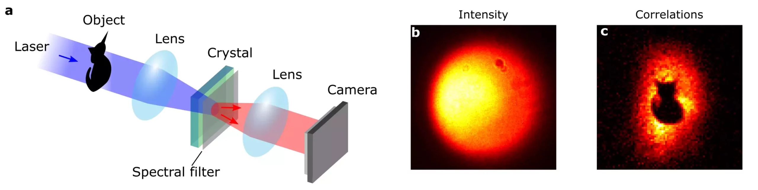 Unveiling the Hidden Realm: Quantum Imaging and the Art of Concealment