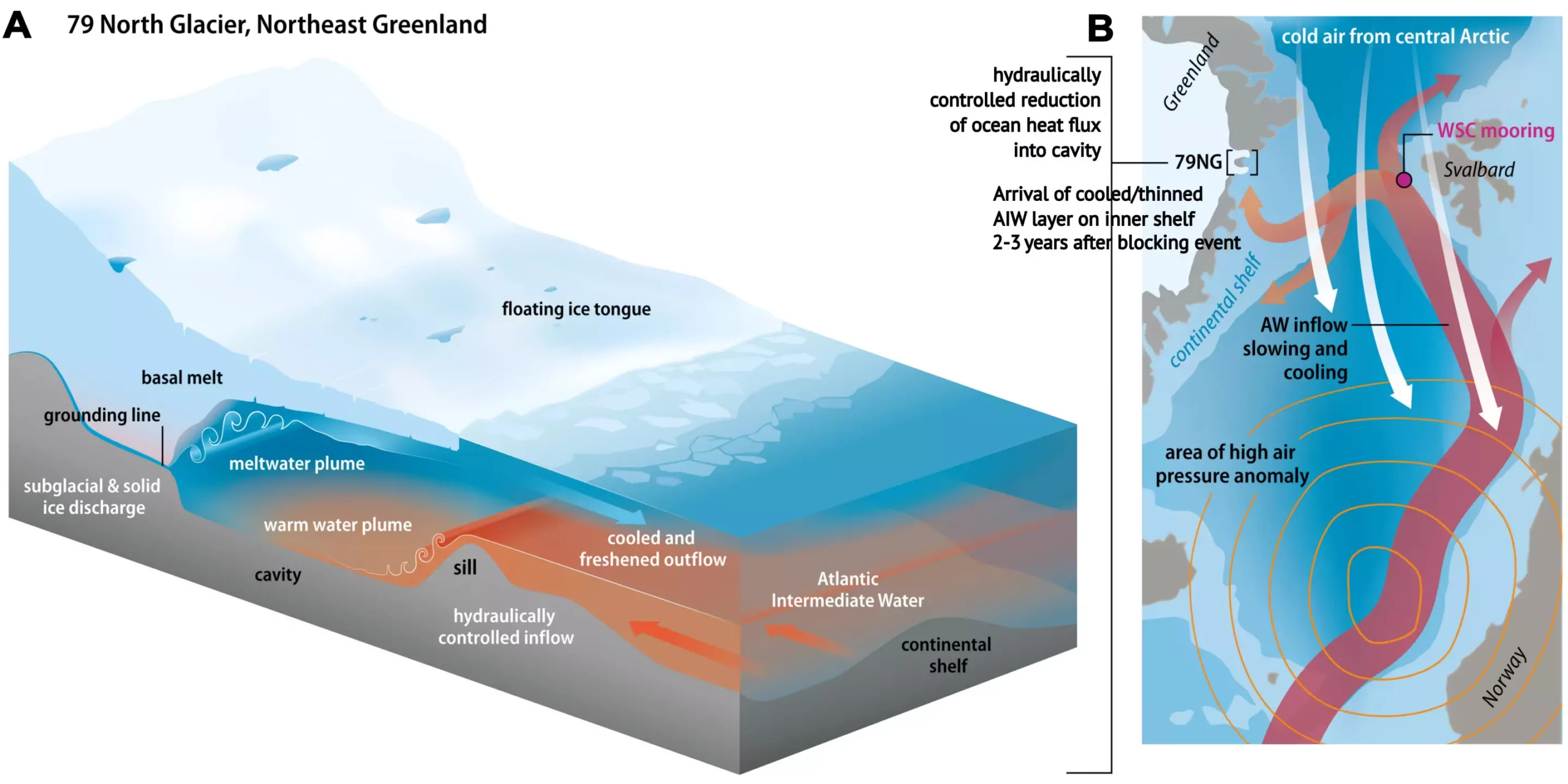 Understanding the Dynamics of Northeast Greenland’s 79° N Glacier in a Warming Climate