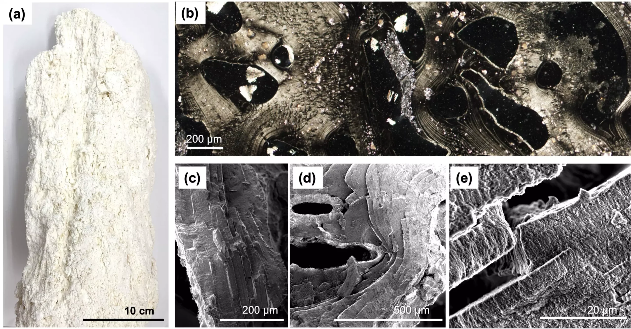 Unveiling Life’s Secrets: The Role of Inorganic Nanostructures in Deep-Sea Hydrothermal Vents