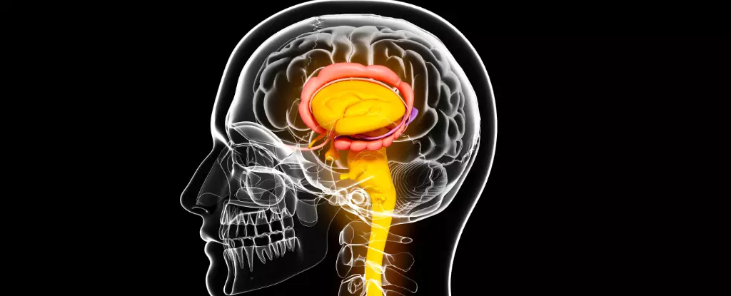 Unraveling the Genetic Tapestry: Subcortical Brain Structures and Their Role in Neurological Disorders