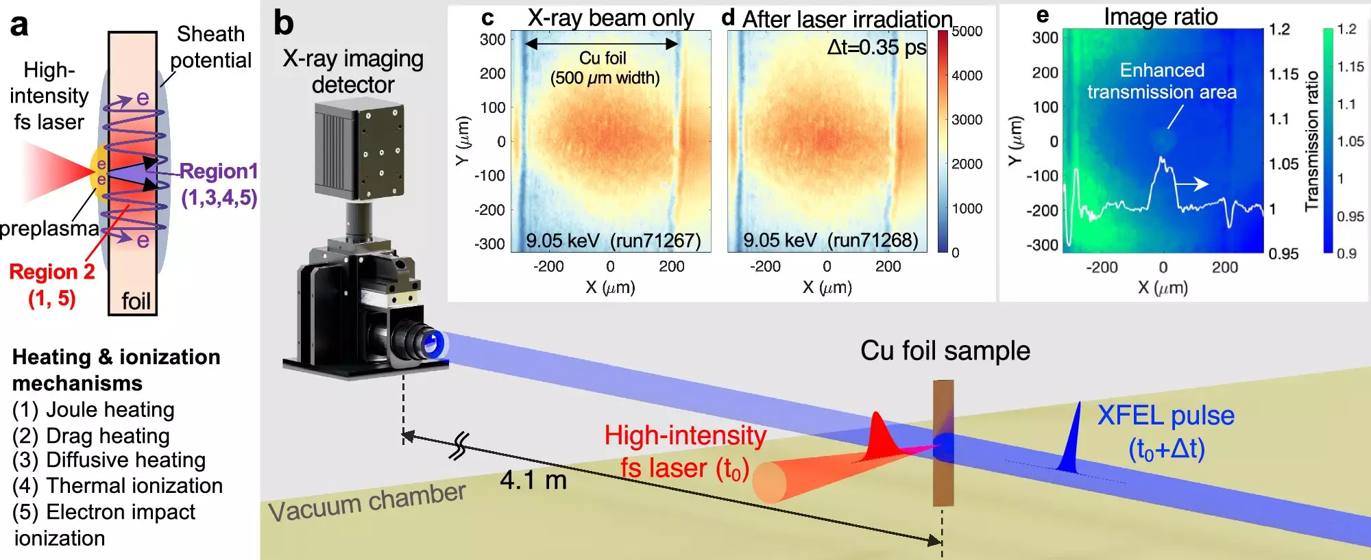 Exploring the Dynamics of Warm Dense Matter: A Breakthrough in Plasma Research