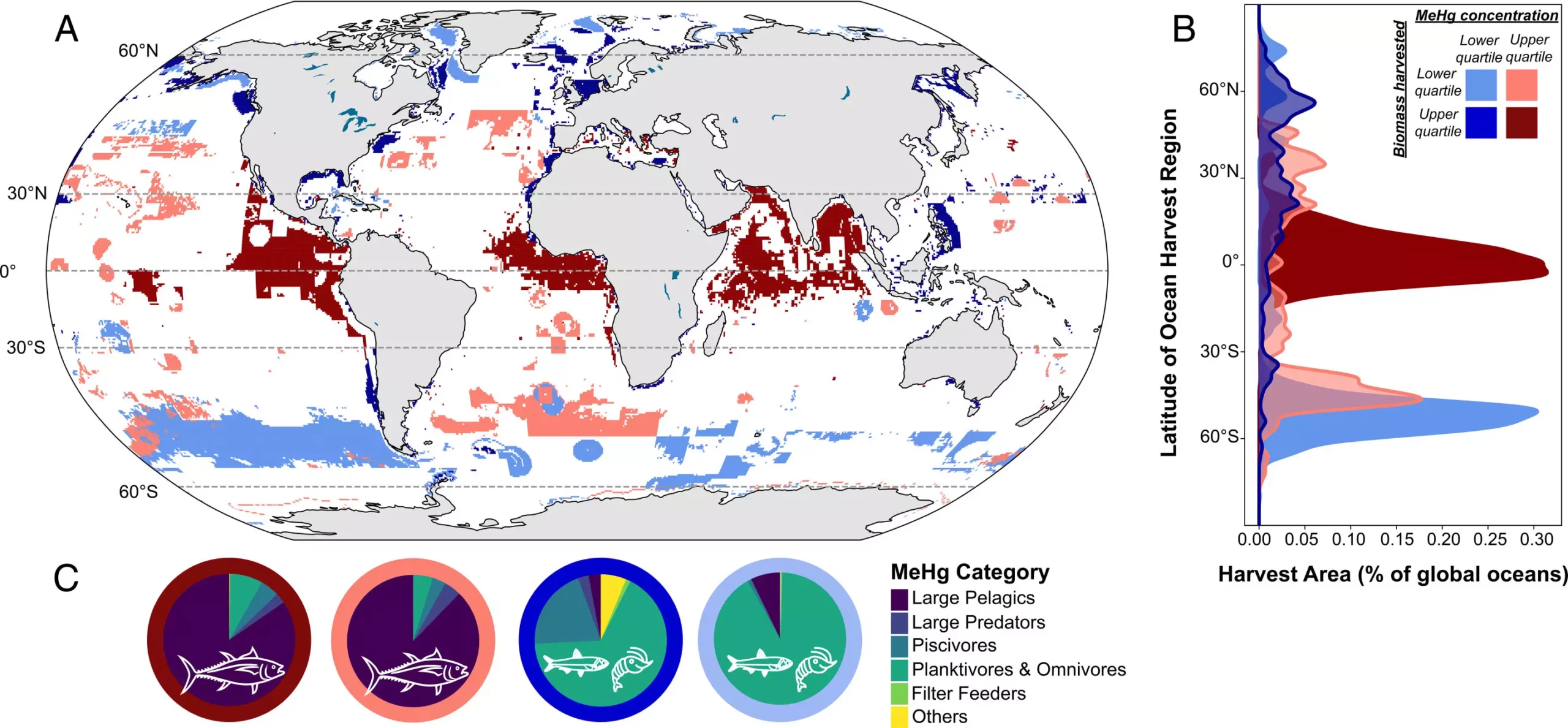 The Impact of Industrial Fishing on Methylmercury Exposure: A Call for Sustainable Practices