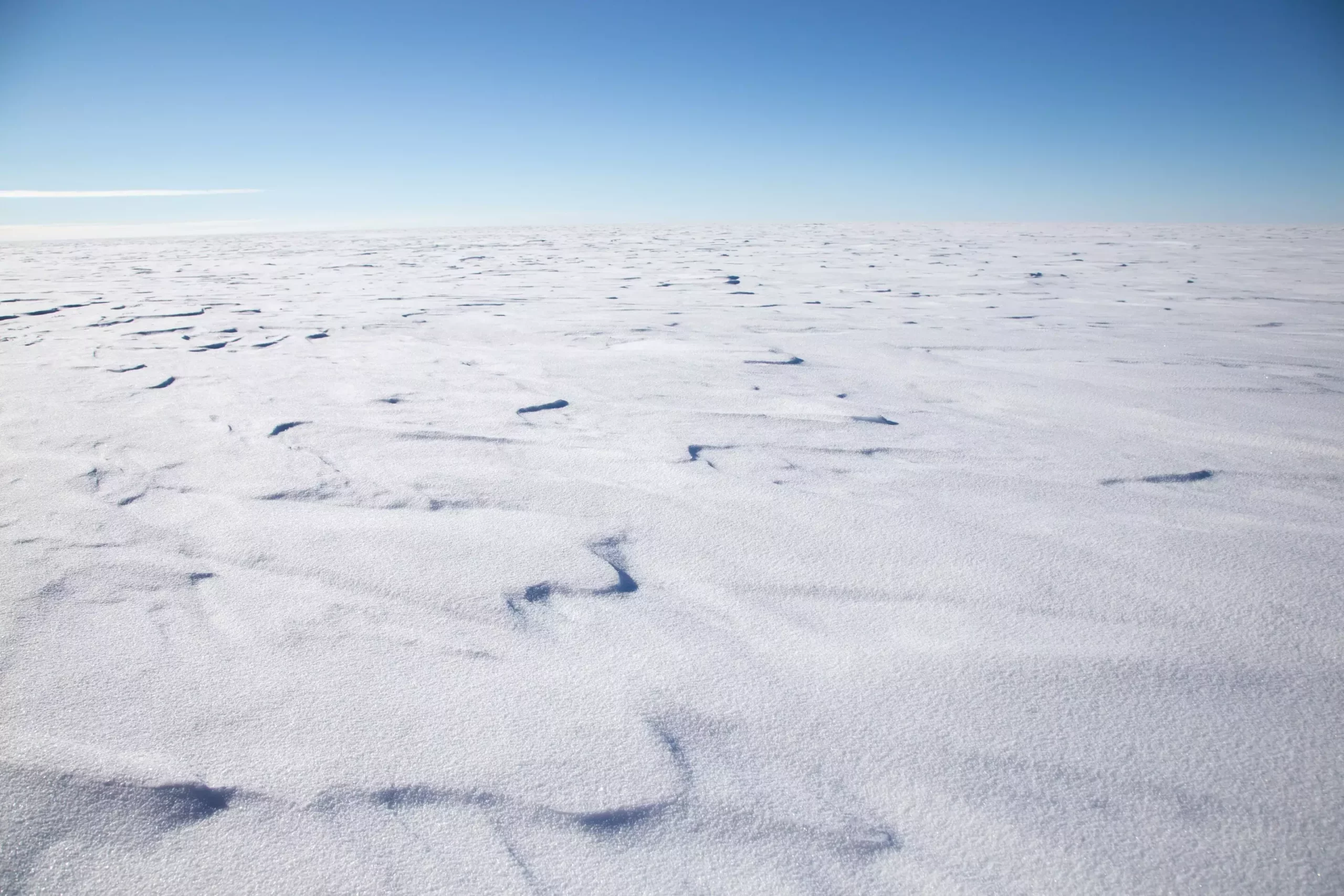 The Impending Threat of Thwaites Glacier: A Tidal Catastrophe in the Making