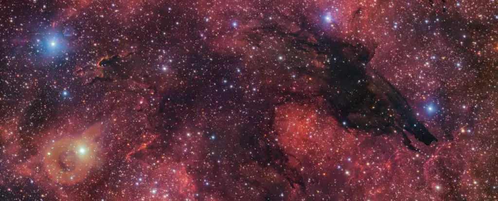 The Dark Wolf Nebula: A Cosmic Cradle in a Realm of Shadows