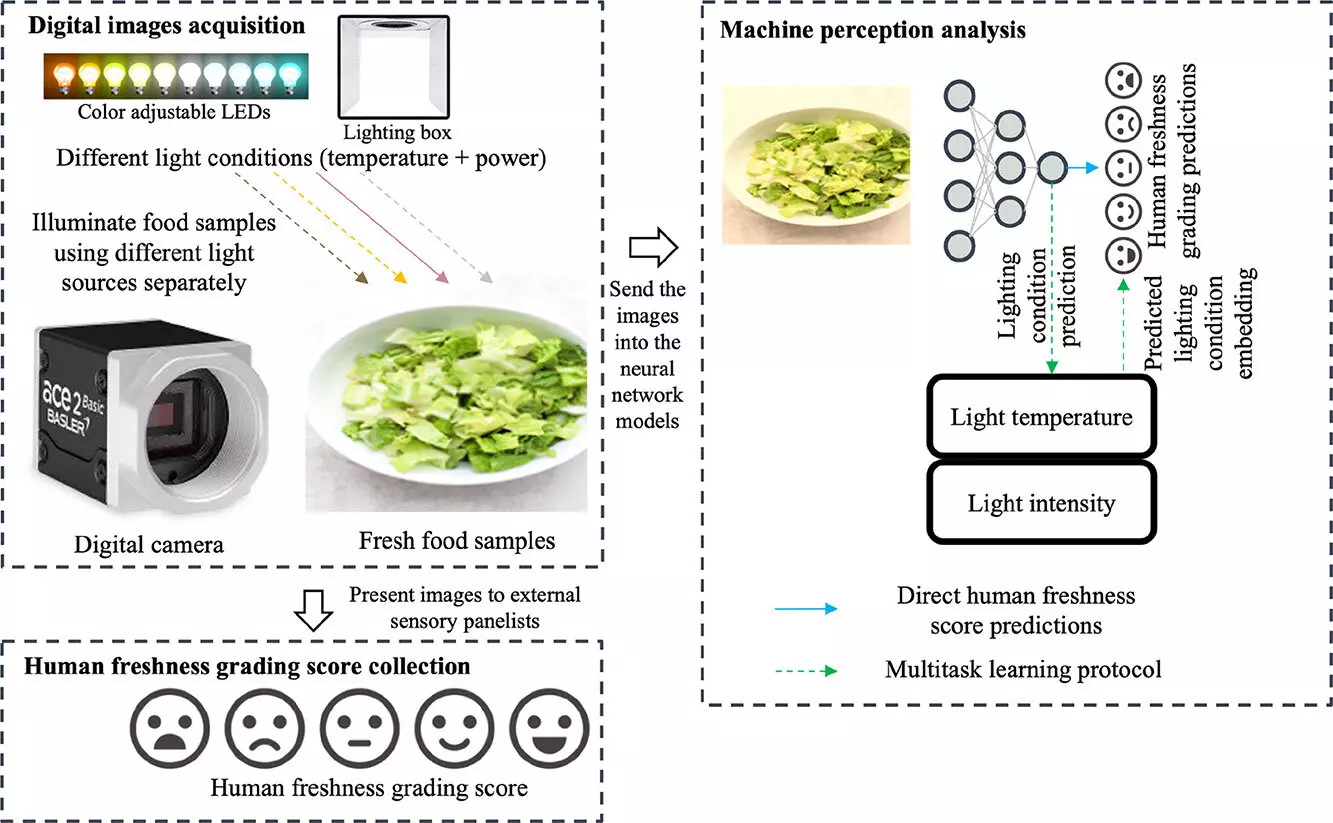 The Future of Food Quality Assessment: Bridging Human Perception and Machine Learning