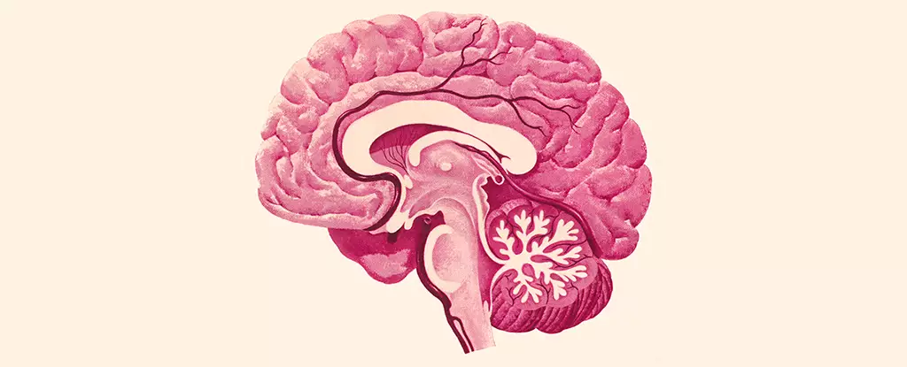 Decoding the Intricacies of HSV-1: Implications for Neurodegeneration