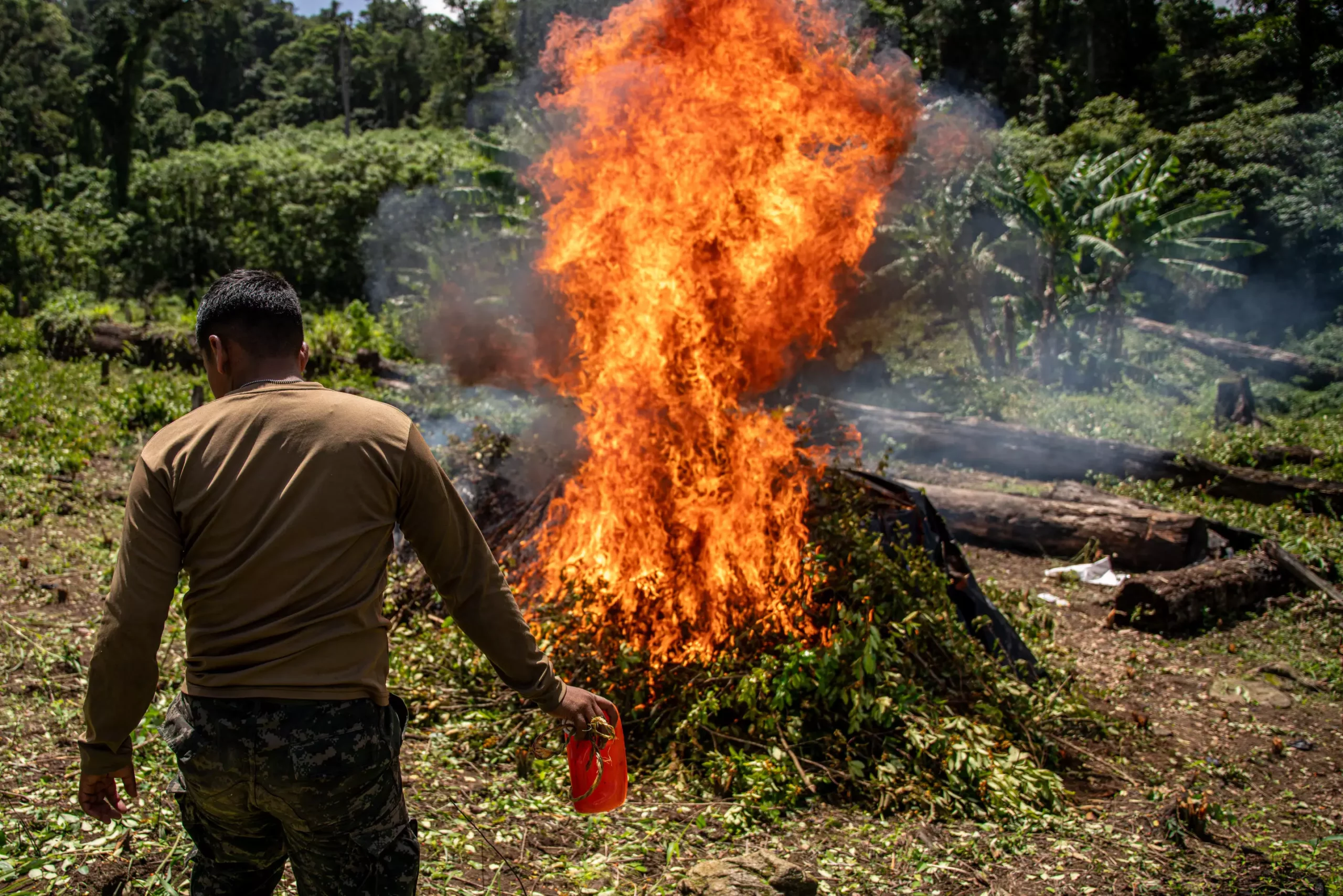 The Emerging Cocaine Pipeline: Understanding the Shift in Coca Cultivation in Central America