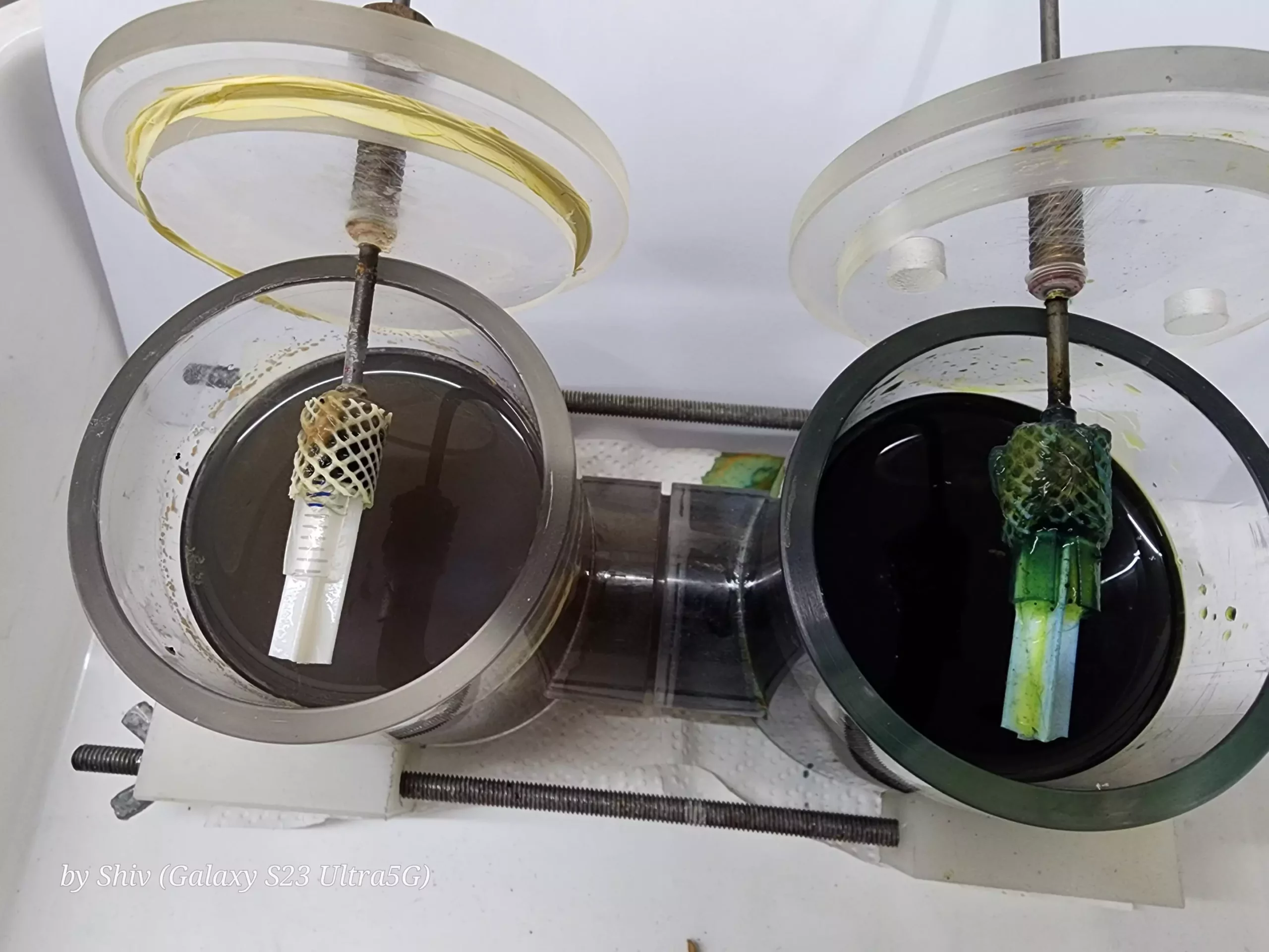 Transforming Waste into Power: The Promise of Microbial Fuel Cells