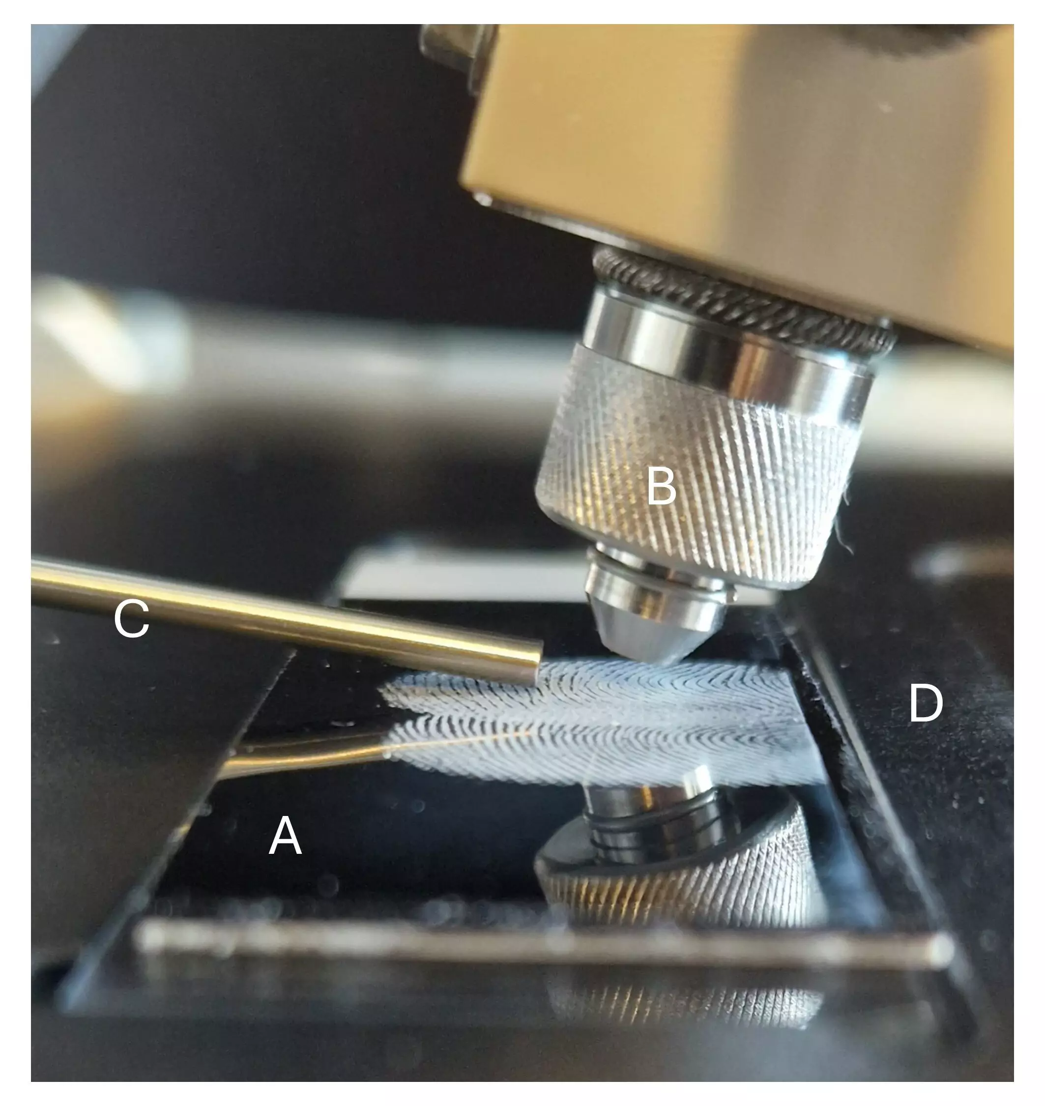 Revolutionizing Crime Scene Analysis: The Breakthrough of Chemical Imaging on Gelatin Fingerprints