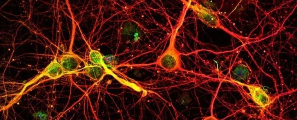 Unveiling the Hidden Memory in Our Cells: A Revolutionary Understanding of Learning