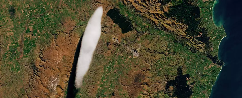 The Enigmatic Taieri Pet: A Cloud Icon over New Zealand’s Landscapes