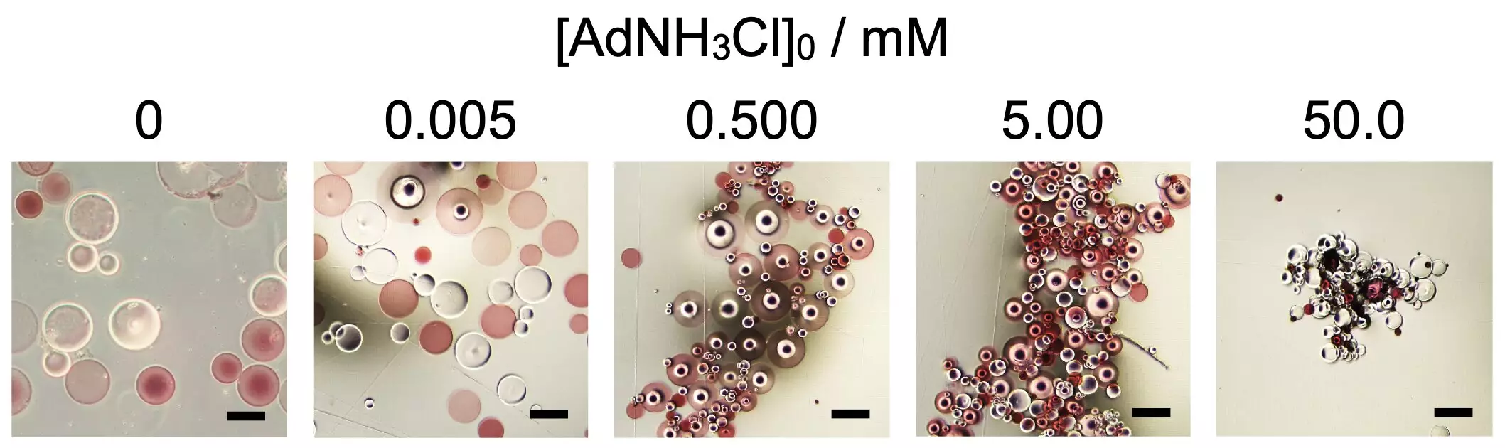 The Science of Self-Assembly: Unearthing the Secrets of Supramolecular Chemistry