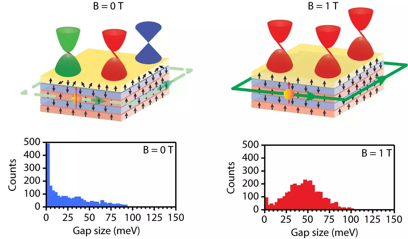 Understanding Quantum Anomalous Hall Effect: The Role of Magnetic Disorder in Topological Insulators