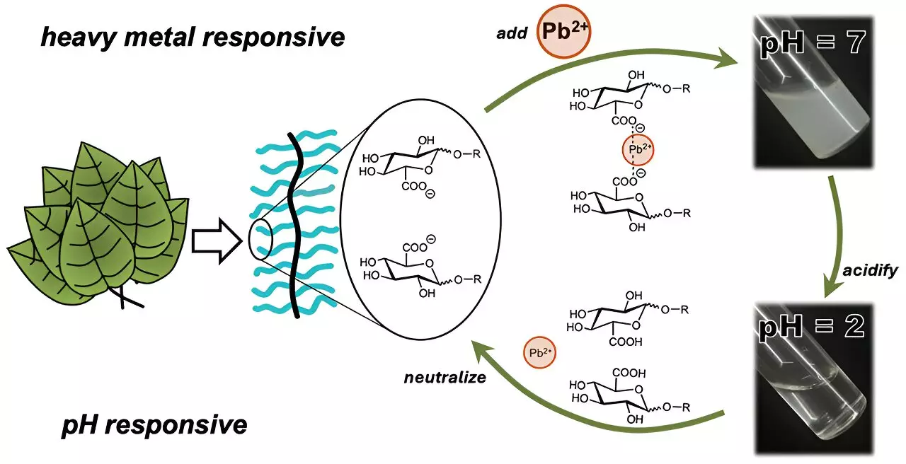 Innovative Approaches to Heavy Metal Removal from Water Using Sugar-Derived Polymers