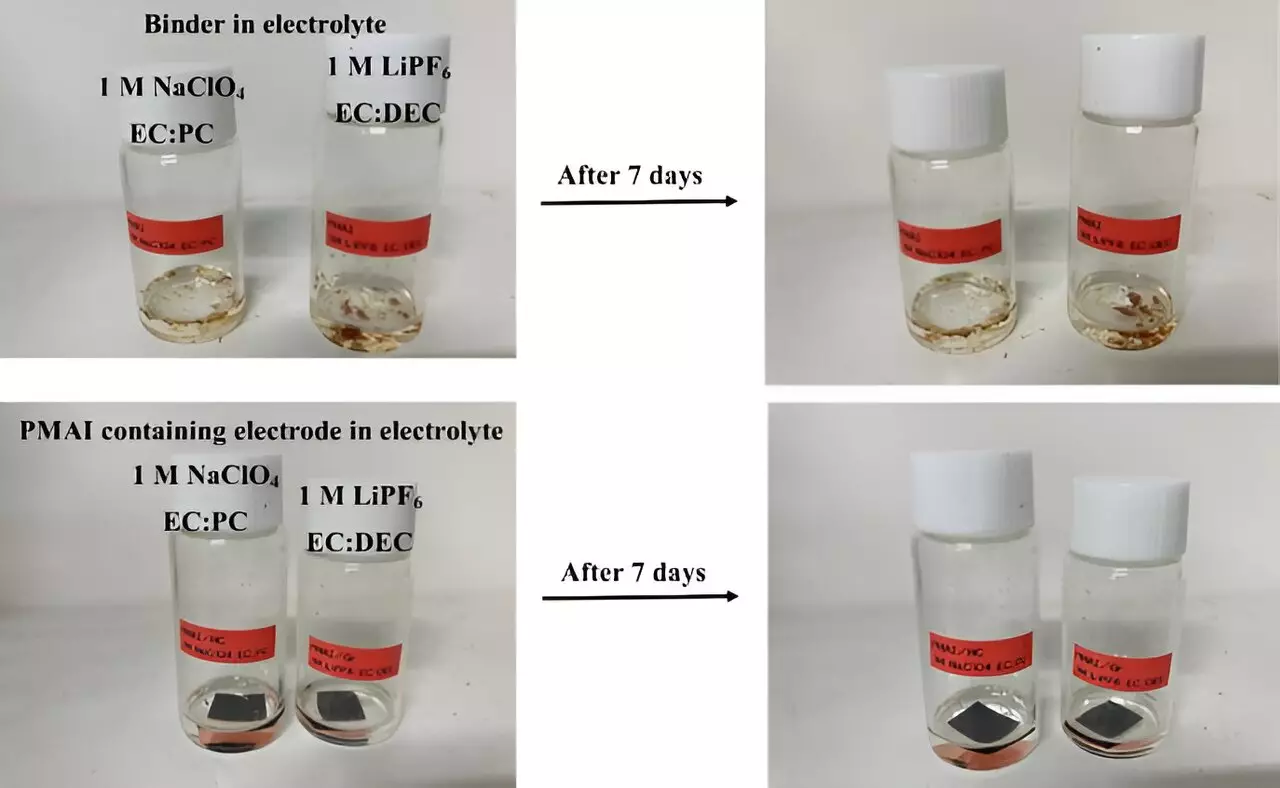 The Future of Energy Storage: Exploring the Promise of Sodium-Ion Batteries