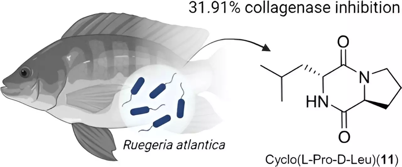 Unveiling Unconventional Beauty: Marine Microbiomes as a Source of Skincare Innovation