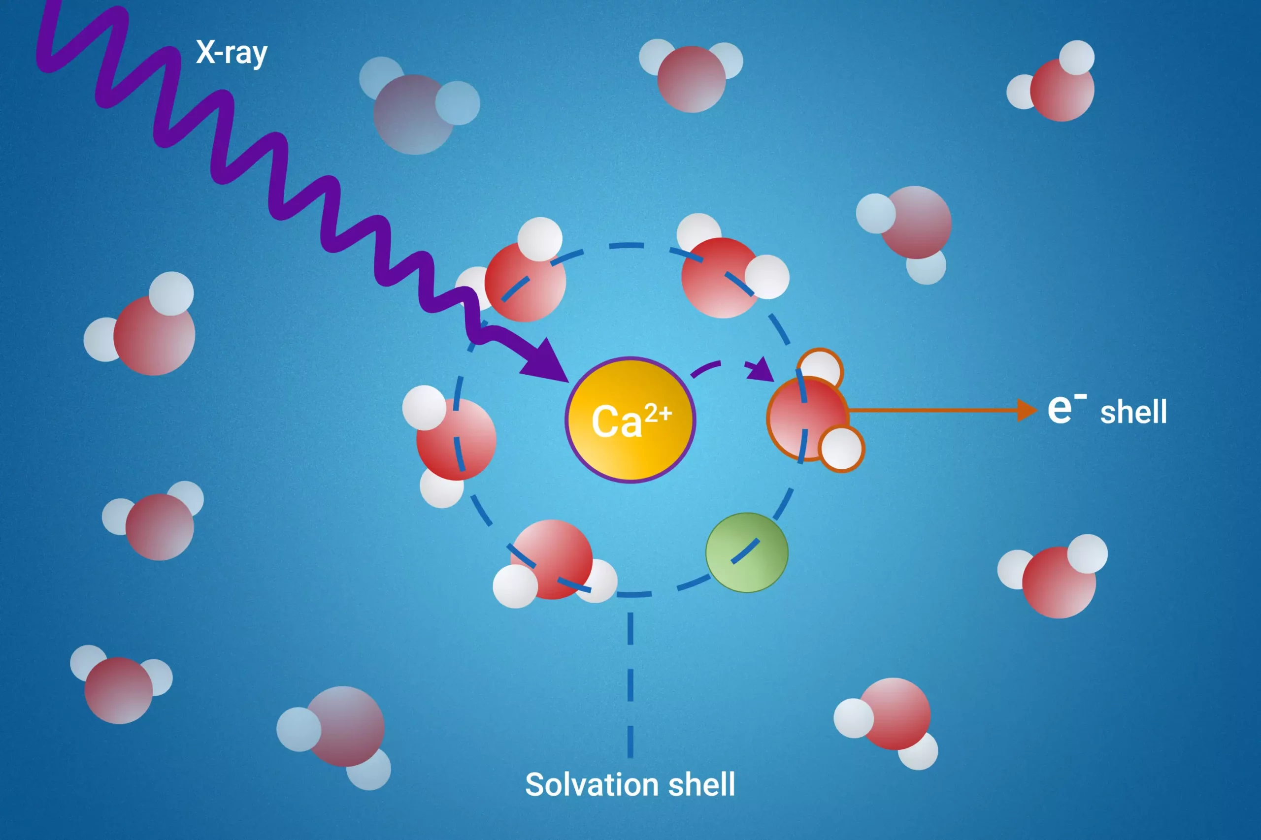 Revolutionizing Our Understanding of Solvation Shells: A New Method for Probing Ion Behavior in Solutions