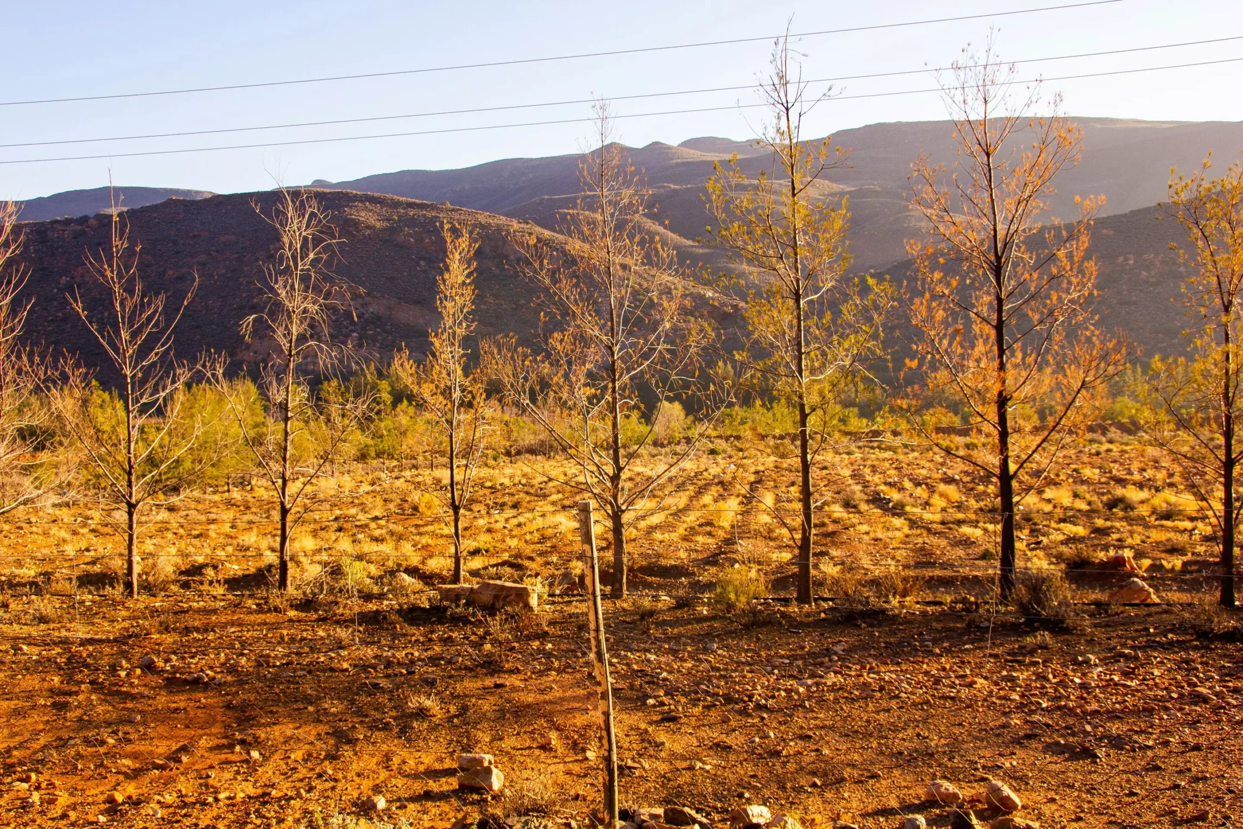 Shifting Precipitation Patterns in North America: The Future of Climate Variability