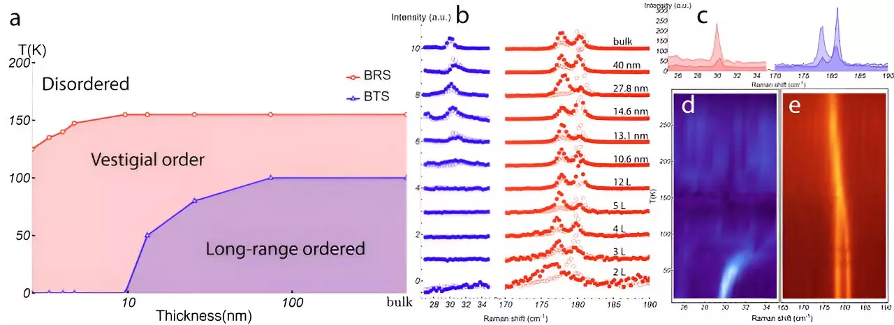 New Insights into Van der Waals Magnetic Materials: The Case of Nickel Phosphorus Trisulfide