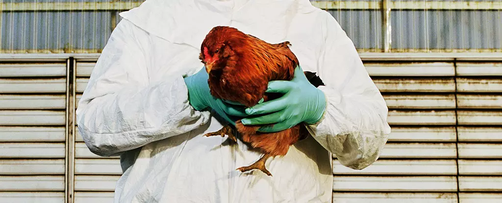 Understanding the Risks of H5N1 Avian Influenza: A Call for Vigilance