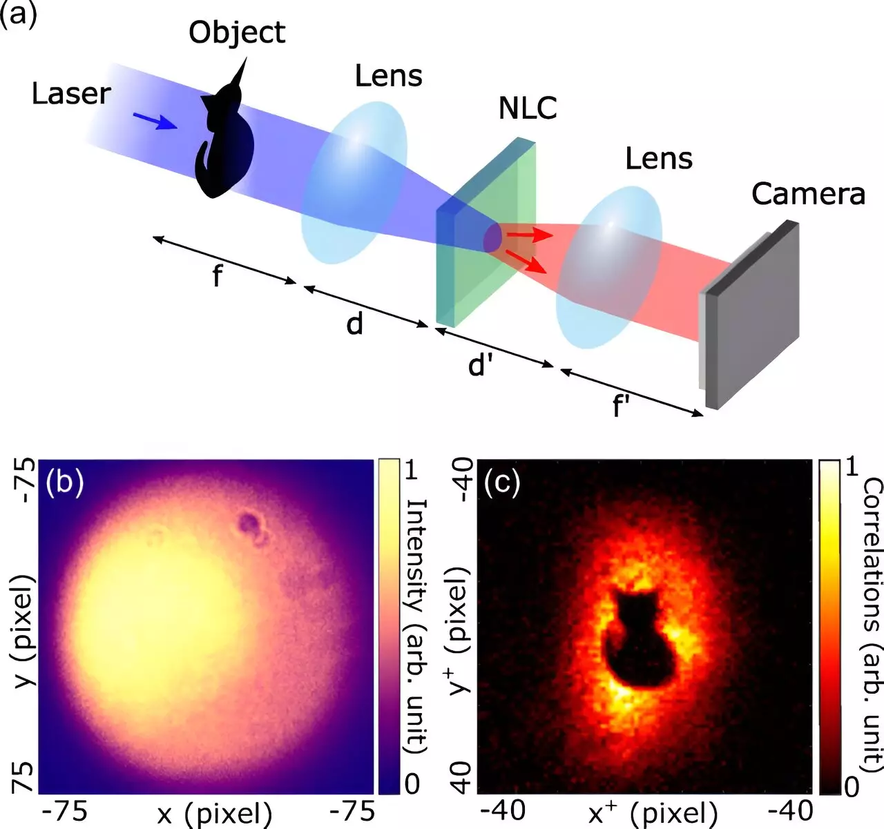 Revolutionizing Imaging: Harnessing Quantum Correlations for Invisibility