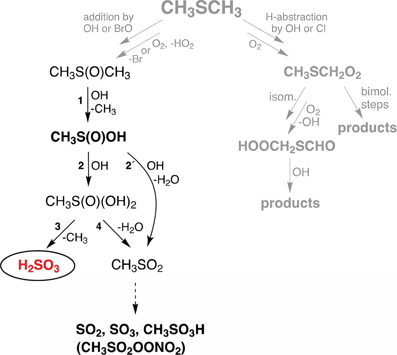 Unveiling Sulfurous Acid: A New Front in Atmospheric Research