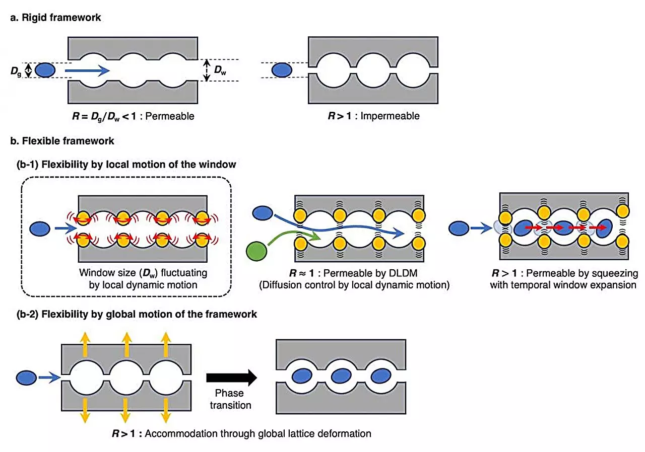 Revolutionizing Our Understanding of Porous Coordination Polymers: A Look at Soft PCPs