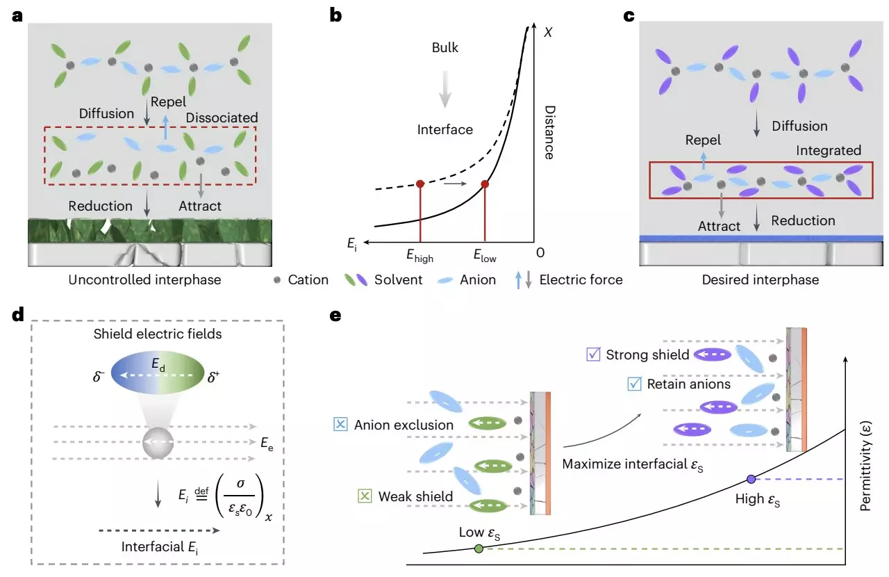 Redefining Battery Performance: The Dielectric Protocol for Lithium-Metal Batteries