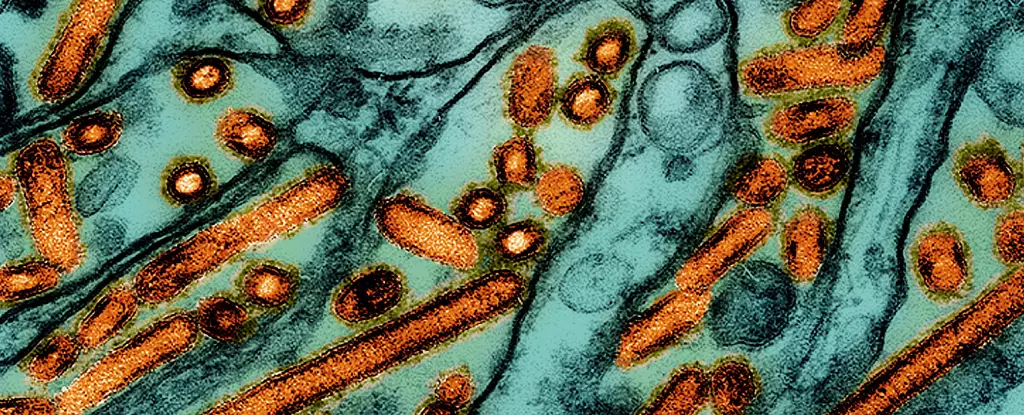 Emerging Threat: The Rise of Avian Influenza in the U.S.