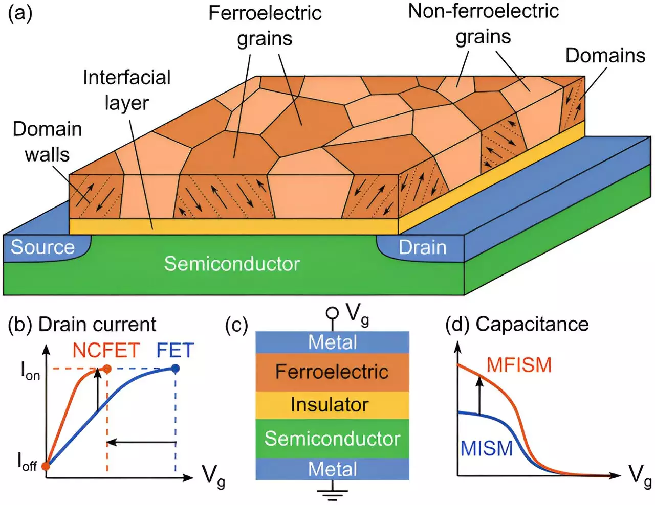 The Future of Microelectronics: Harnessing Negative Capacitance for Energy-Efficient Devices