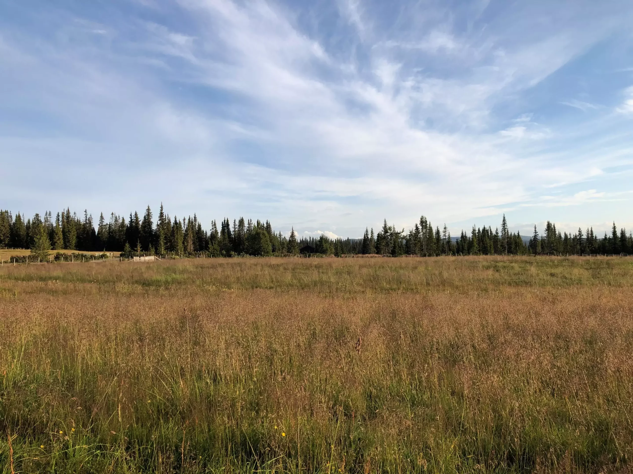 The Competing Needs for Land: Navigating the Challenges of Climate Change in Agriculture and Timber Production