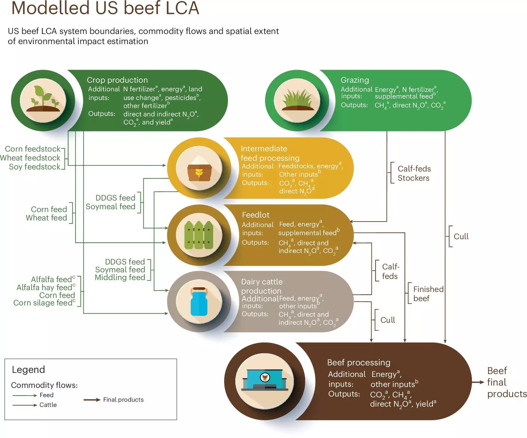 Innovative Pathways for Emission Reduction in the U.S. Beef Industry