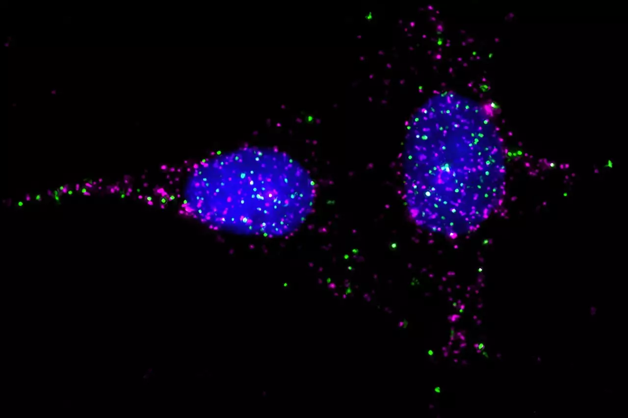 A Comprehensive Examination of GPCRs and RAMPs: Revolutionizing Drug Development