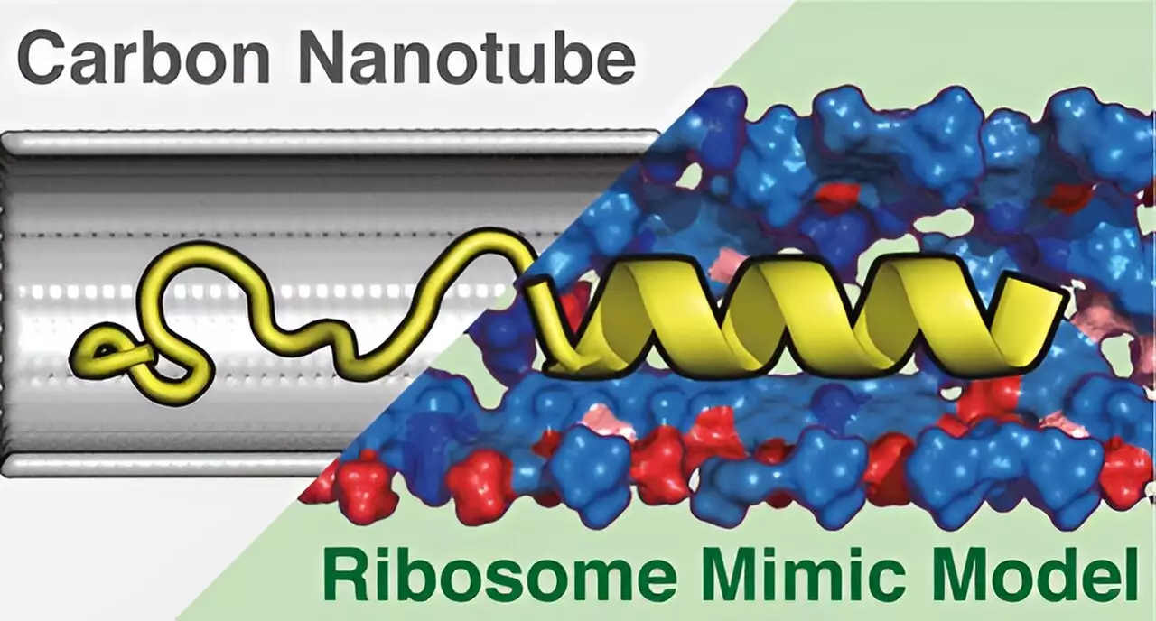 Advancements in Ribosome Structure Simulation: Insights from the University of Tsukuba