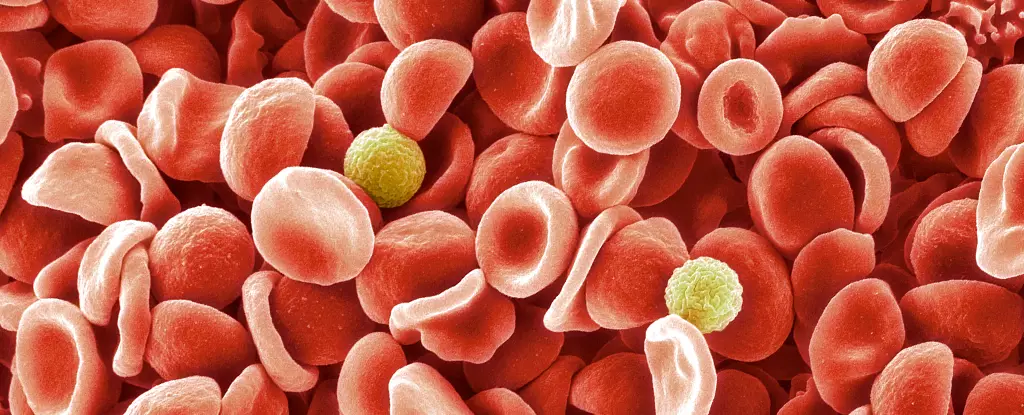 The Discovery of the MAL Blood Group: A Breakthrough in Hematology