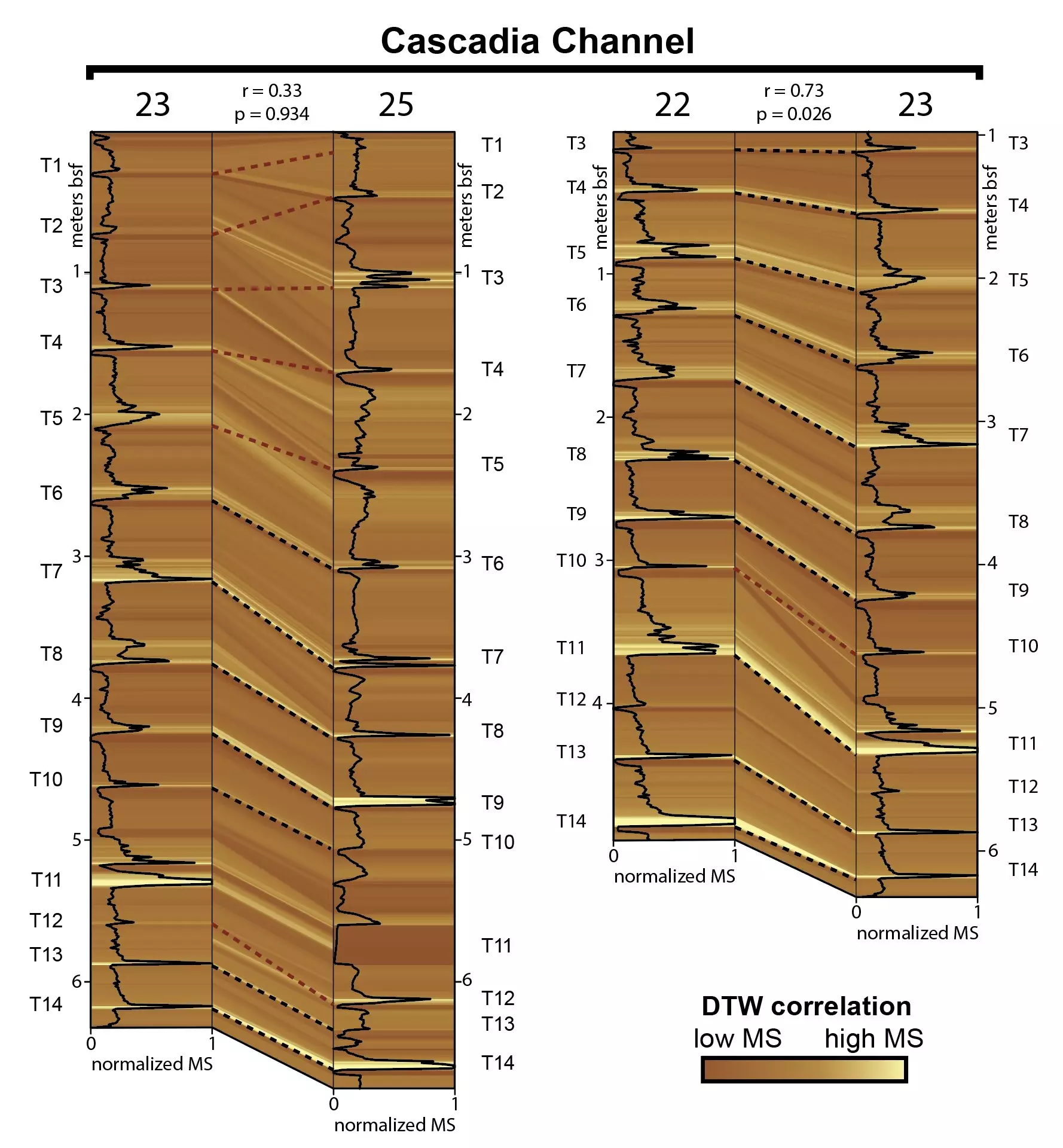 Rethinking the Earthquake Record: New Insights from the Cascadia Subduction Zone