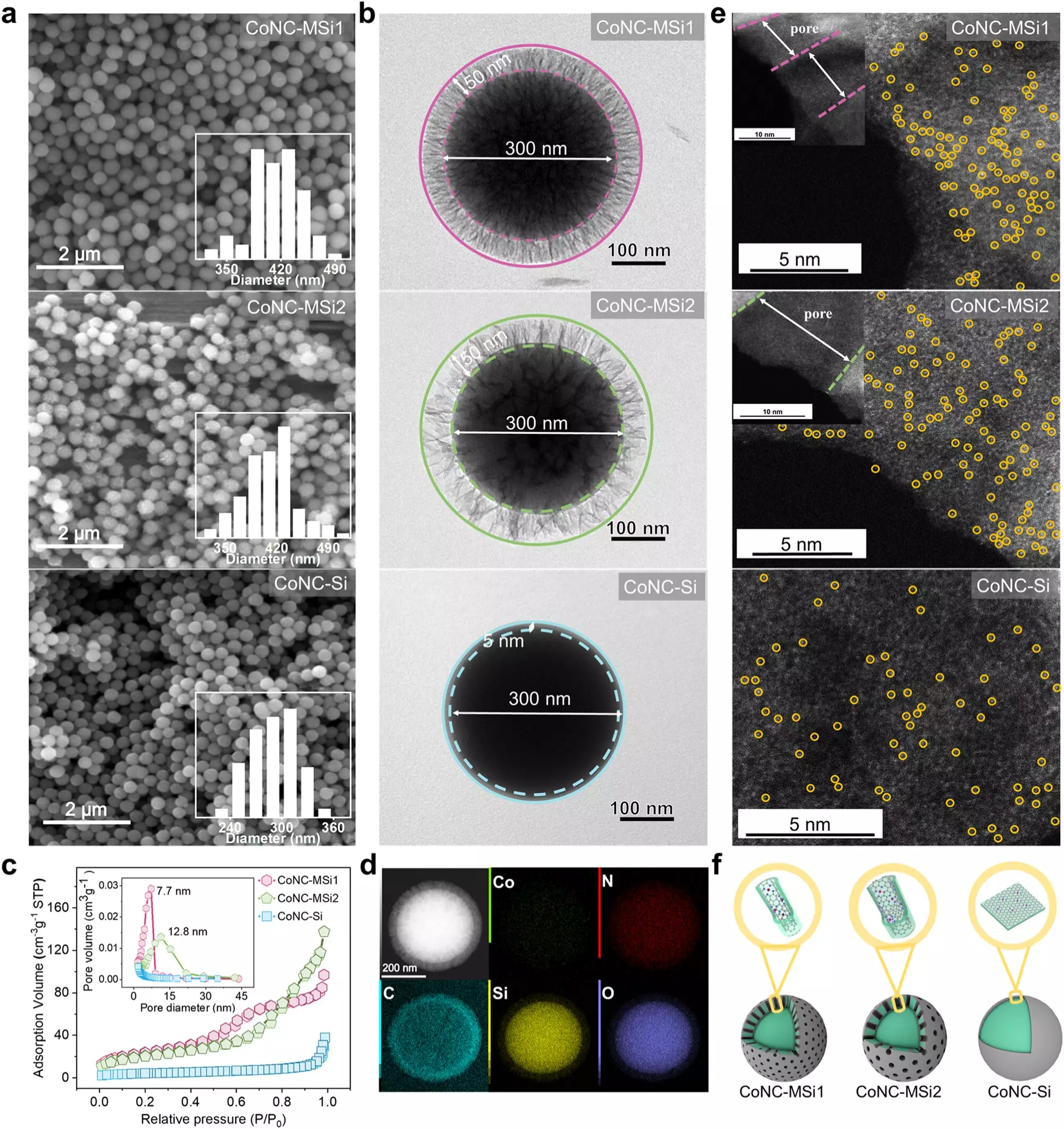 Revolutionizing Water Purification: The Breakthrough of Single-Atom Catalysts