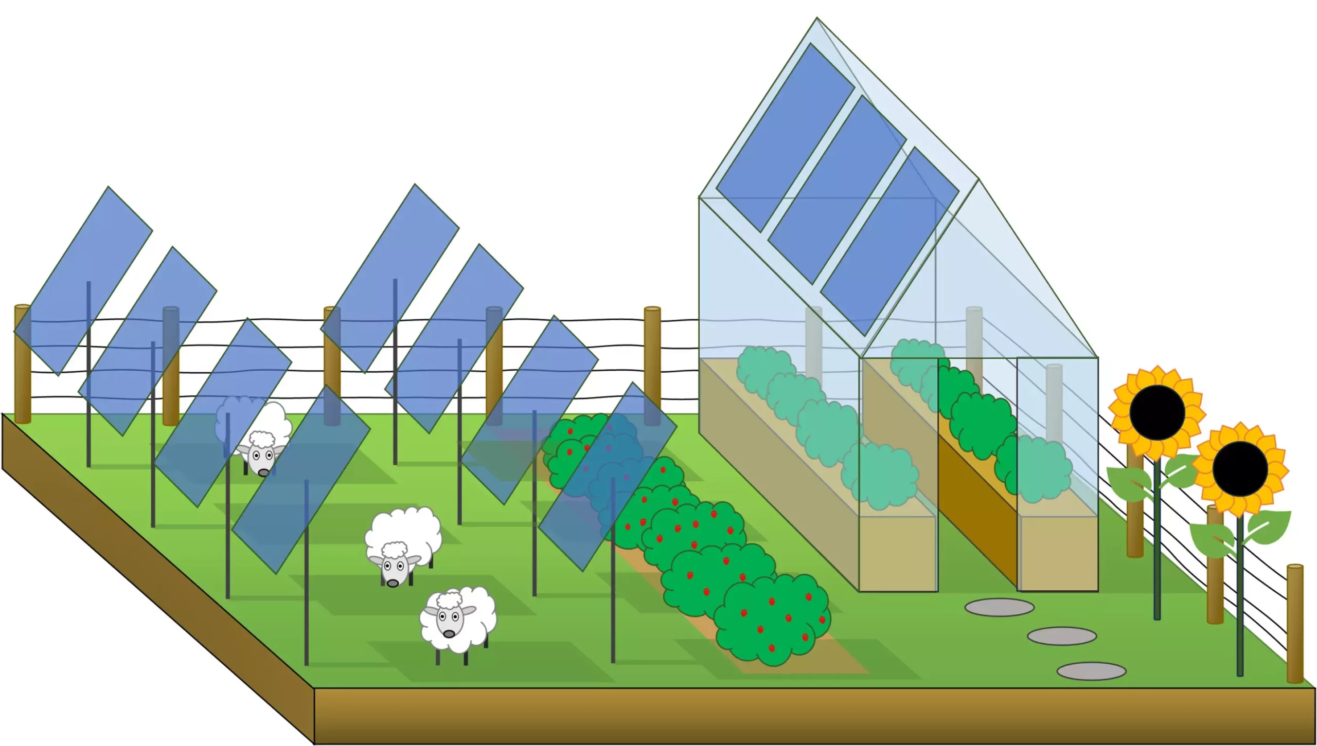 Revolutionizing Agriculture: The Intersection of Solar Power and Crop Production