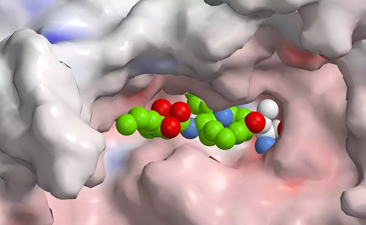 Innovative Breakthroughs in Immunoproteasome Inhibition: Targeting Autoimmune Disorders